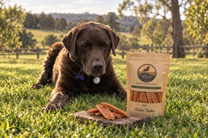 Why Bear Can't Get Enough of Our Chicken Tenders: A Healthy Dog Treat Made in Australia