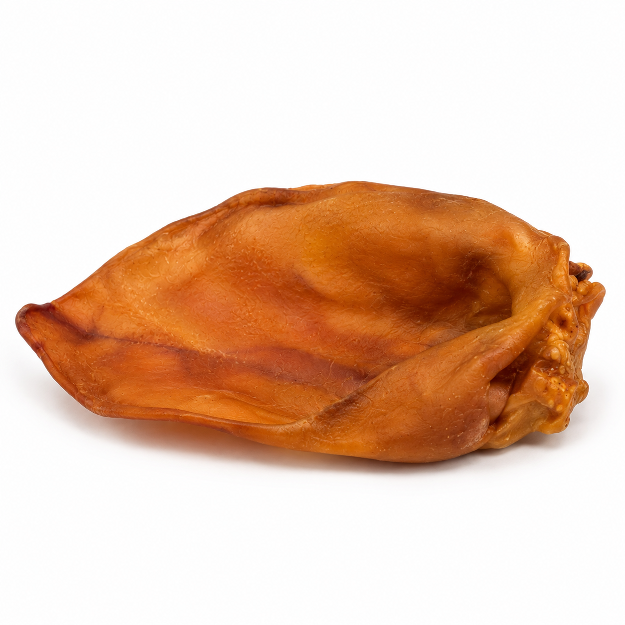 A single air dried pig ear dog treat.