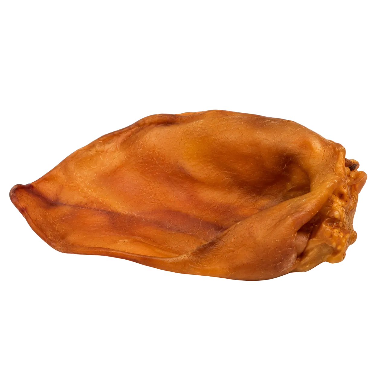 A single dried pig ear dog treat.